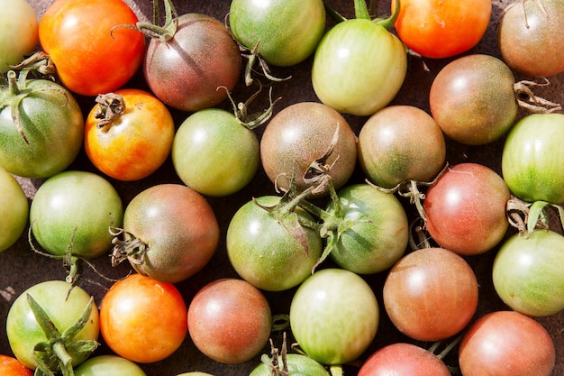 Background from multi-colored cherry tomatoes