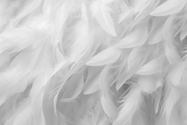 Background from pastel fluffy feathergood for text overlayAI generated