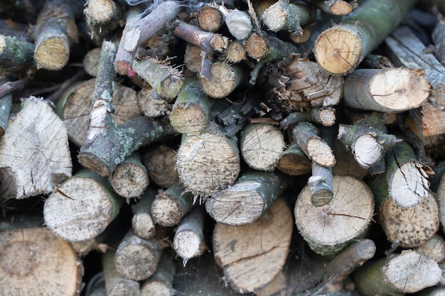 Background from stacked birch firewood