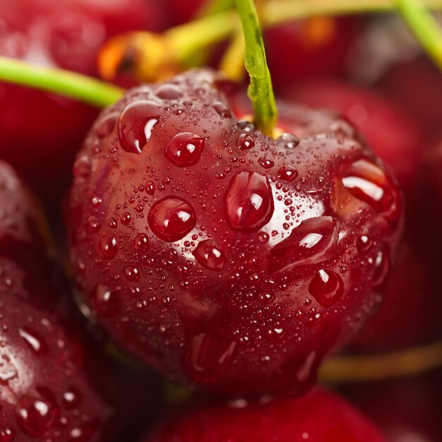 Background from sweet fresh wet red cherry macro image