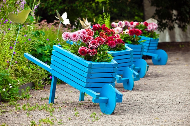 Photo background of garden design. landscaping in park with blue handmade carts decorated with flowers