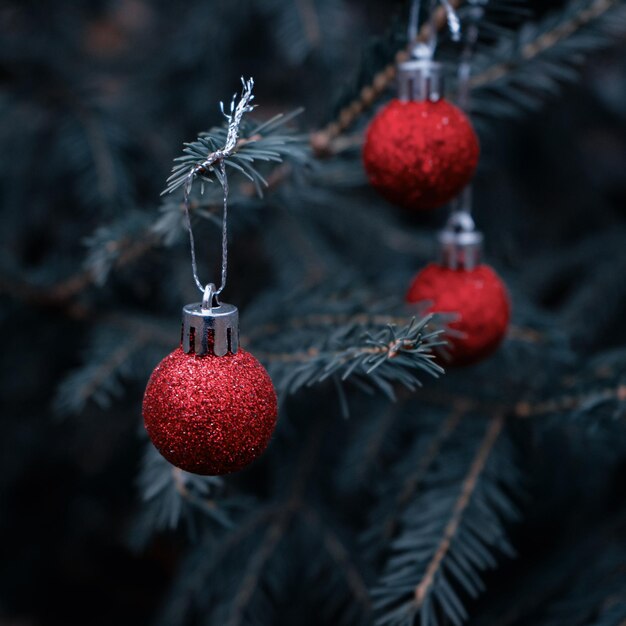 Background of green branches of a Christmas tree with shiny colorful balls.