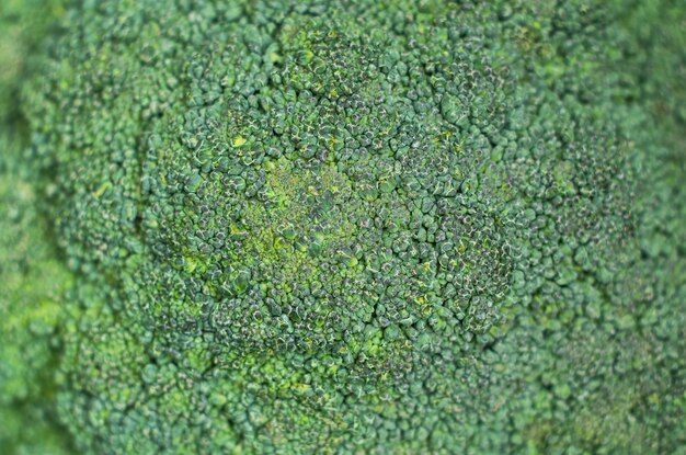 Foto sfondo di broccoli verdi. avvicinamento