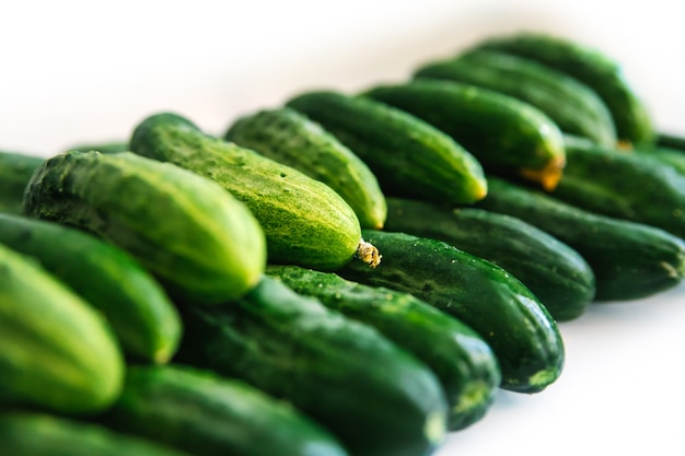 Photo background of green fresh cucumbers. cucumbers lie exactly in a row on a white background. natural texture. agricultural industry. harvesting.