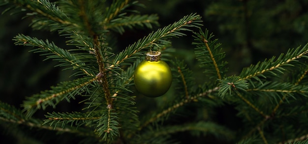 光沢のあるカラフルなボールとクリスマス ツリーの緑の小枝の背景