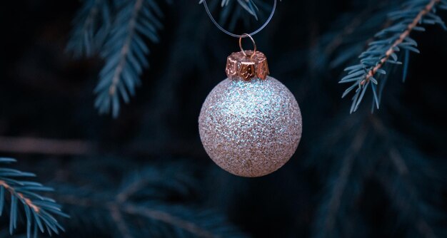 Background of green twigs of a Christmas tree with shiny colorful ball.