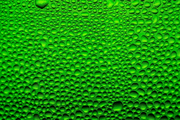 Background green with macro drops