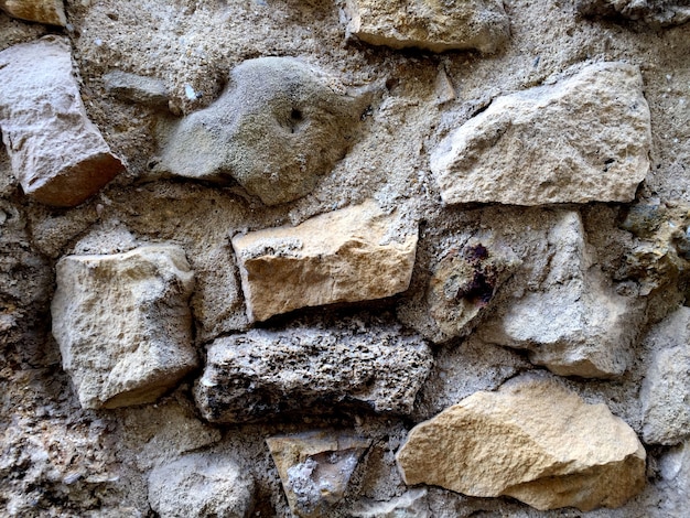 Sullo sfondo di un muro di cemento grigio con grandi pietre