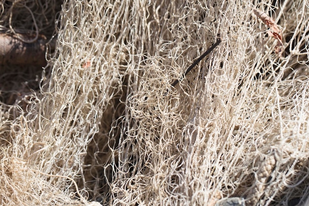 セーヌ川釣りの背景グリッド