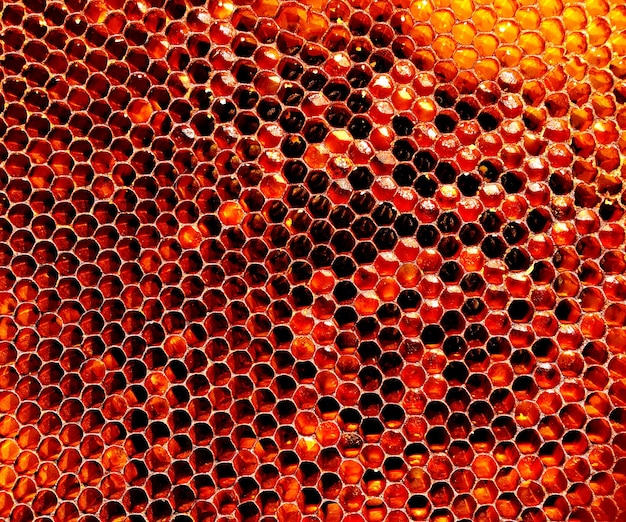 background hexagon texture wax honeycomb from a bee hive filled with golden honey honeycomb macro photography consisting of beeswax yellow sweet honey from beehive honey nectar of bees honeycombs
