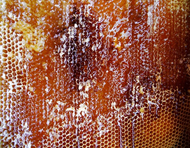 Background hexagon texture wax honeycomb from a bee hive