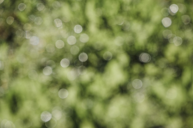 Background image bokeh on green background