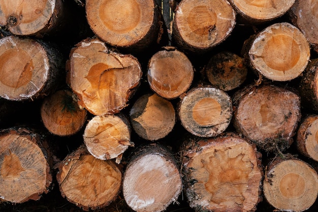 挽かれた松の幹の端の背景画像。薪の木製の背景、工業用木材。コピースペース