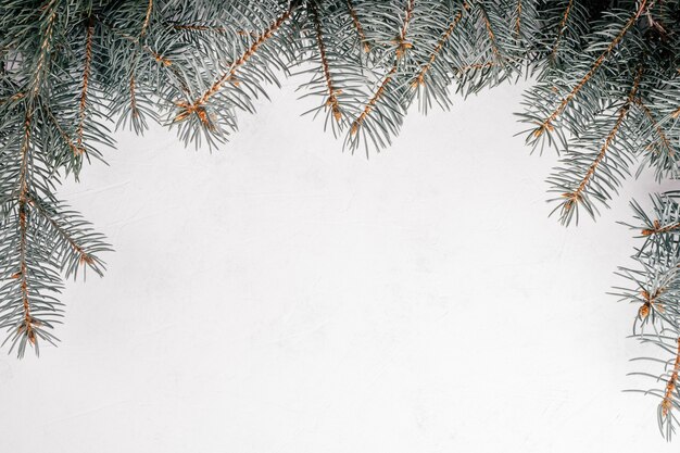 Immagine di sfondo della superficie di cemento bianco irregolare con rami di albero di natale. vista dall'alto, copia spazio