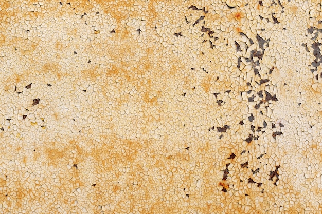 Background of an iron fence with peeled pieces of an old cracked shabby light paint layer and orange rust drips.