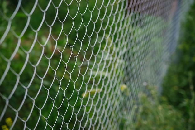 The background is made of metal mesh. A fence on a garden plot. Blurred background. The texture of the interlacing wire.