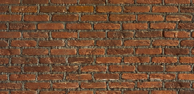 The background is an old brick wall The wall is made of red ceramic bricks