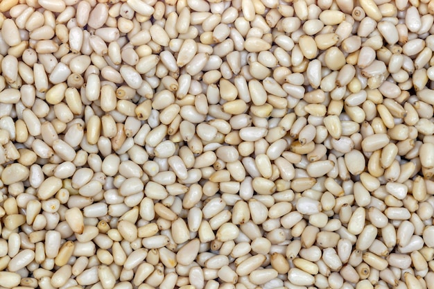 Background or layer of peeled pine nuts