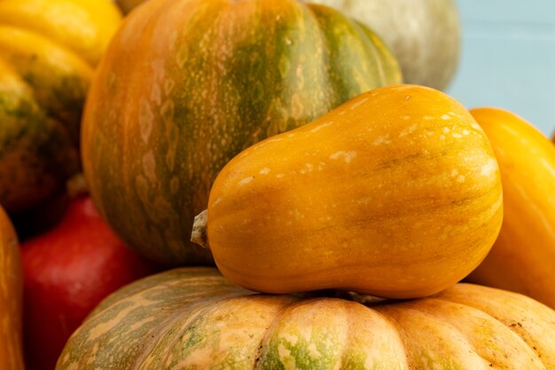 Background of a lot of colorful pumpkins 