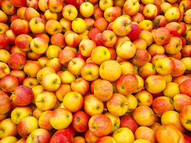 Background lots of yellow and red apples the concept of fruit harvest