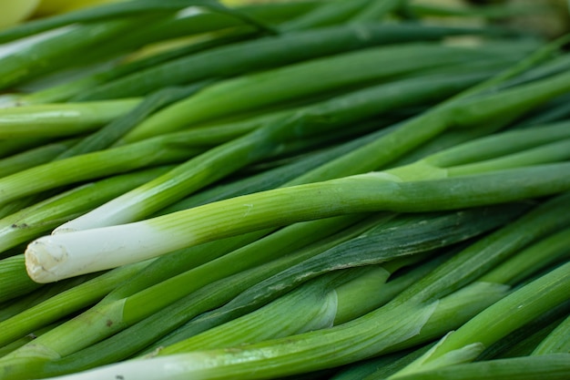 Background of macro of green onions. Fresh green onion grass.