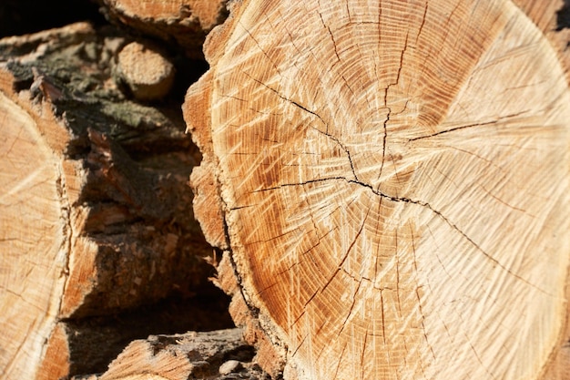 Background made of cumulate firewood close up