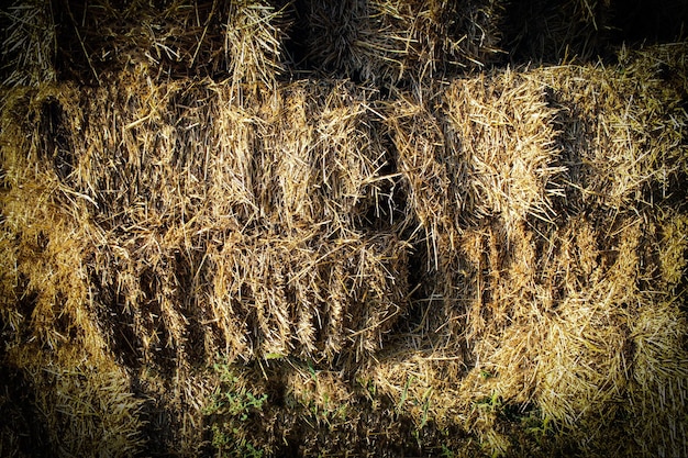 Background made of straw bales