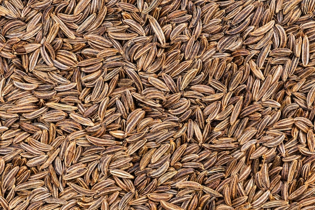 Background many dried caraway seeds