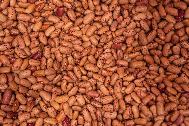 Background of many grains of dried beans. Brown beans texture, food background. Close up stock photo