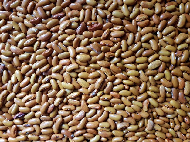乾燥した着色された豆の多くの穀物の背景。豆の背景とテクスチャー