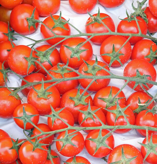 Foto lo sfondo di molti pomodori cherry rossi appena raccolti in estate