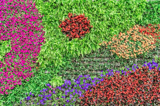 Foto materiale di fondo della parete di fiori e piante