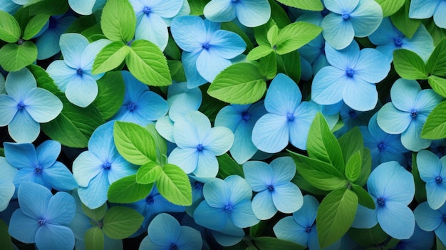 Background of a mix of delicate blue periwinkle blossoms and fresh green leaves