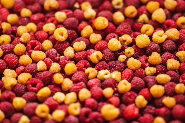 Background of mixed yellow and red raspberries