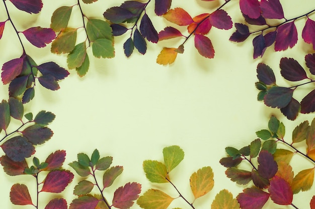 Background of multicolored autumn leaves on yellow pastel