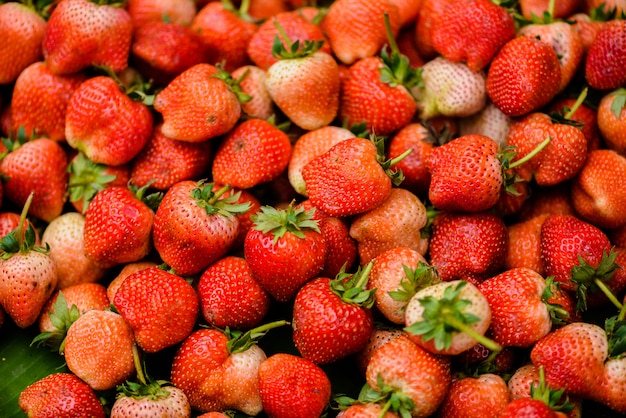 신선한 수확 된 딸기의 배경