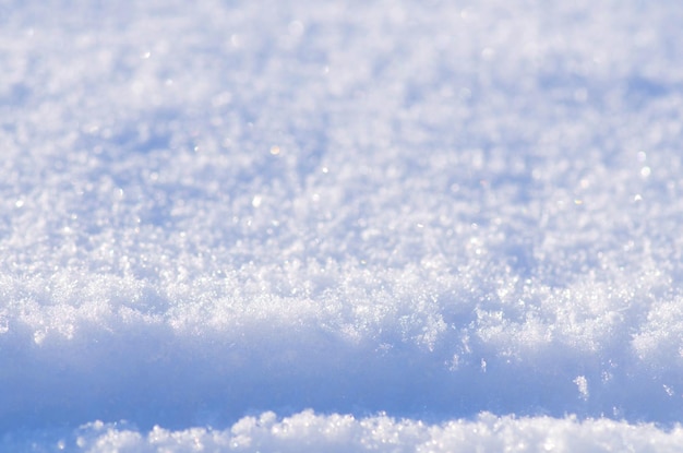 写真 新鮮な雪の背景