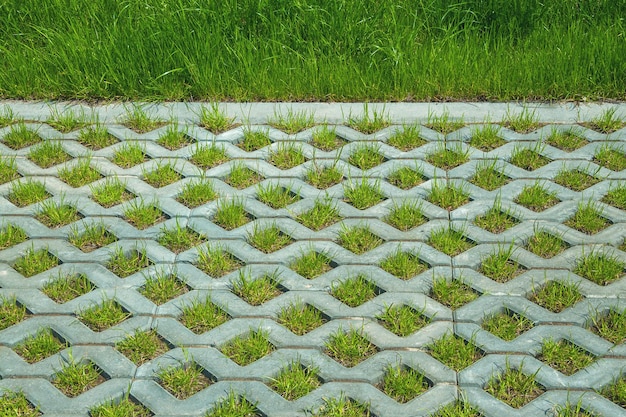 Фото Фон зеленой травы, рельефный газон из бетона.