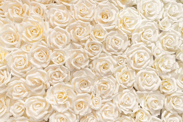 写真 ベージュのバラのつぼみの背景
