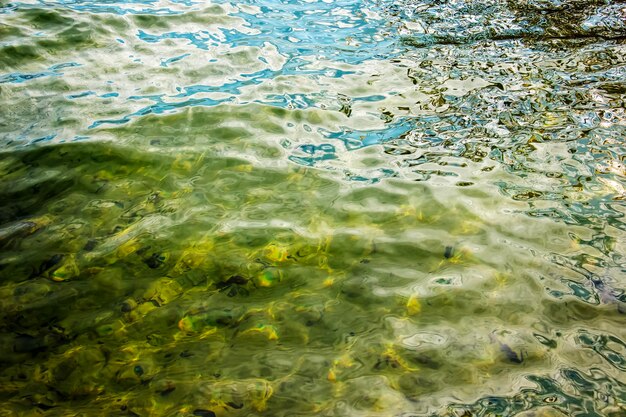 写真 トラウンゼー湖の水の背景 沿岸地域の水中の石のカラフルな質感