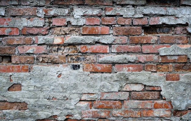 Background the old crumbling brick walls.