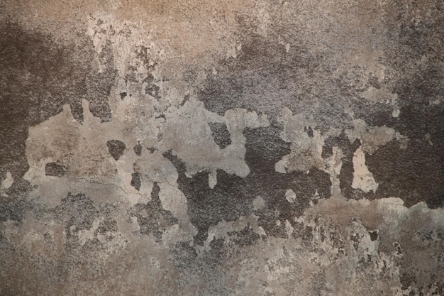 Background of old gray plaster