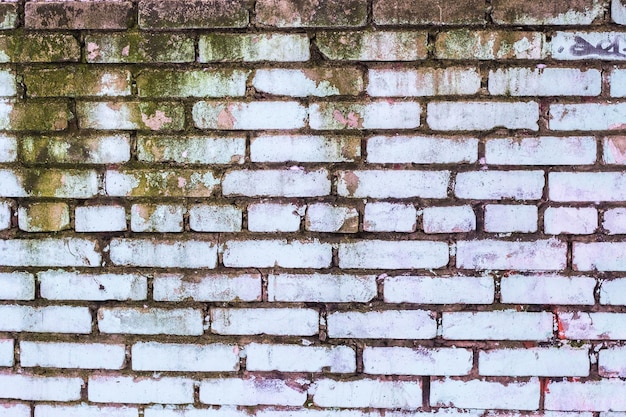 Fondo di vecchio muro di mattoni sporco d'annata con il gesso della sbucciatura