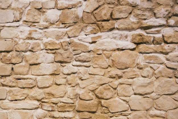 Sullo sfondo di un vecchio e stagionato muro di pietra.