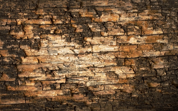 Background of old a wood