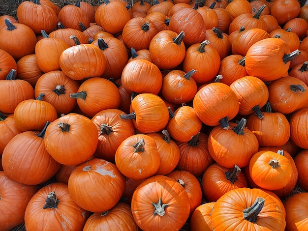 Background of the orange pumpkins