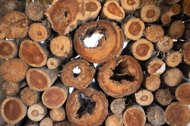 Background pattern of stack of trunk.