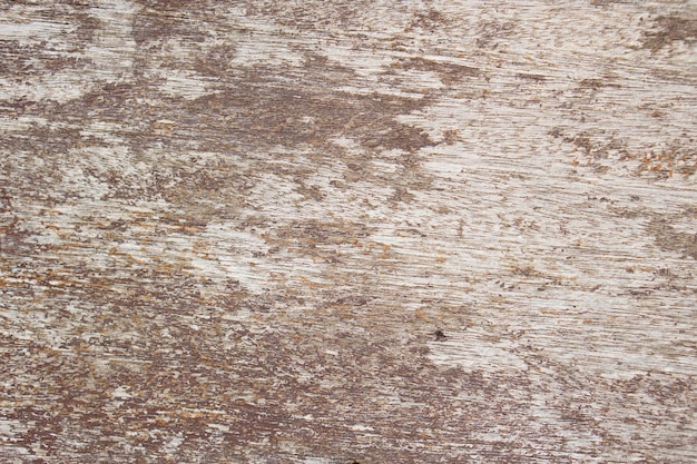 Photo background pattern on wooden floor