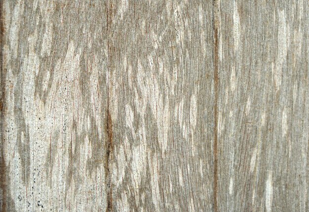 Photo background pattern on wooden floorx9