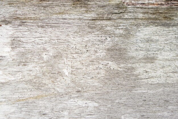 Background pattern on wooden floorx9